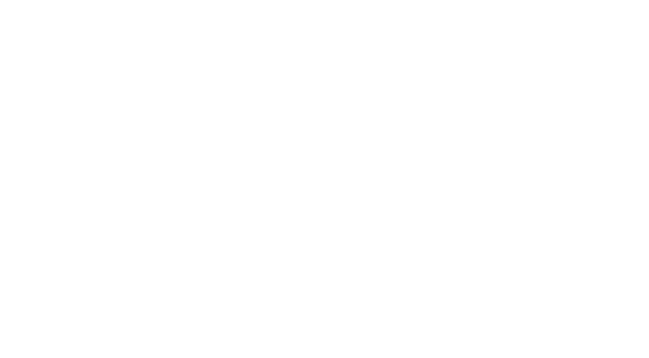 Skyline-logo-white